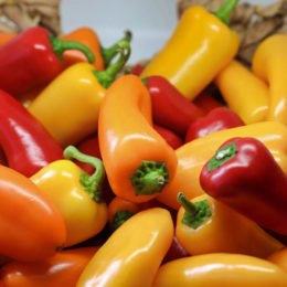 agriculture-basket-bell-peppers-1274613