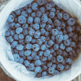 berries-blueberries-blurred-background-137597